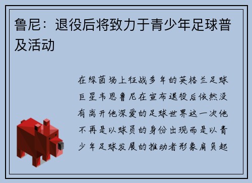 鲁尼：退役后将致力于青少年足球普及活动