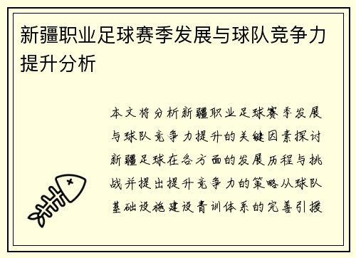 新疆职业足球赛季发展与球队竞争力提升分析