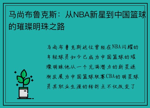 马尚布鲁克斯：从NBA新星到中国篮球的璀璨明珠之路